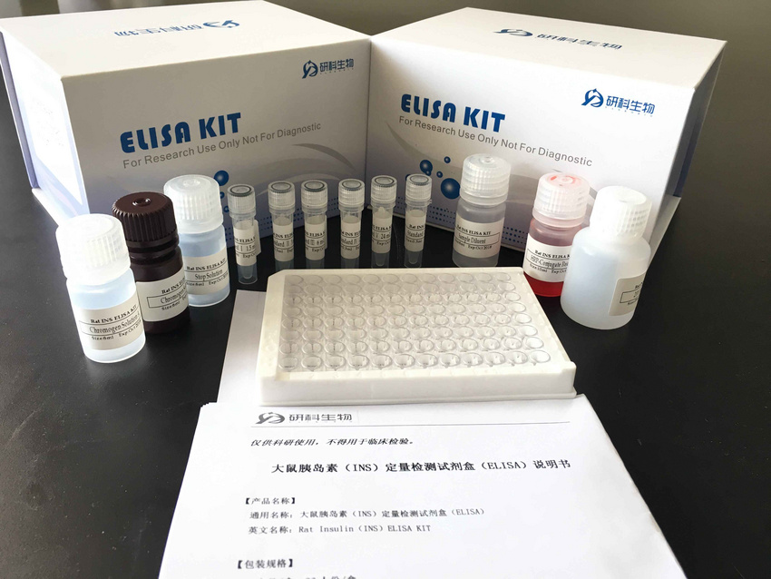 小鼠炎症因子系列        【英文名】 mouse e-selectin elisa kit