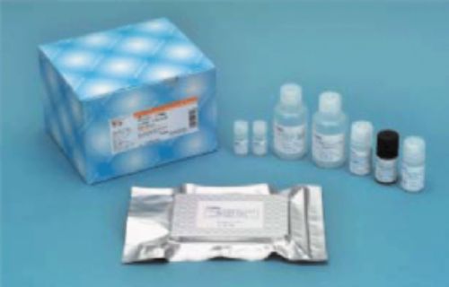 人抗巨细胞病毒抗体IgG(anti-CMV IgG)ELISA试剂盒 规格