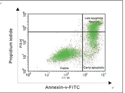 流式细胞仪检测细胞凋亡