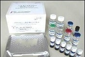 代测豚鼠白三烯B4(LTB4)ELISA试剂盒价格