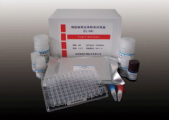 人垂草扁桃酸(VMA) ELISA试剂盒 规格