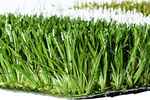 进口赛尔隆新国标50毫米足球场人造草坪