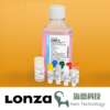 CC-3162 Lonza EGM-2 内皮细胞培养基套装 