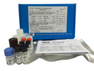 25羟基维生素D检测试剂盒(酶联免疫法)