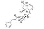 6'-O-肉桂酰基哈巴苷 1245572-24-0