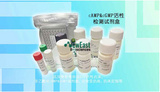 Monoclonal Anti-cAMP Antibody Based Direct cAMP ELISA Kit/CAMP ELISA试剂盒