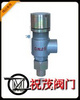安全阀A21W-64P