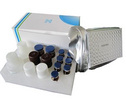 小鼠5羟色胺(5-HT)ELISA检测试剂盒操作说明书