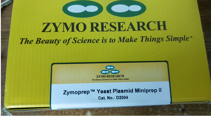 zymo  Zymoprep? Yeast Plasmid Miniprep II (50 Preps) D2004