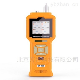 WK-903-O3泵吸式臭氧检测仪