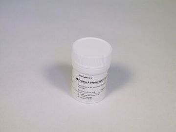 GE Protein A Sepharose CL-4B 蛋白A瓊脂糖凝膠CL-4B 17-0780-01