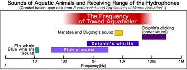 Aquafeeler水生动物立体声学监测系统