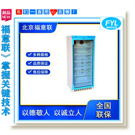 測試儀電池恒溫箱 鋰電池測試箱