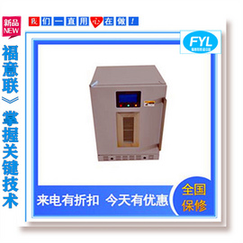 扣电池测试恒温箱  恒温干燥箱