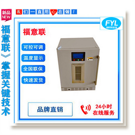 温箱（包含一台保温和一台冷藏）FYL-YS-151L