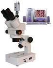 电脑型连续变倍体视显微镜/体视显微镜/连续变倍体视显微镜 型号：HAD-XTL-3400C
