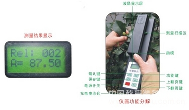 活体叶面积测定仪生产， 活体叶面积测定仪厂家