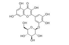 杨梅素-3’-O-β-D-葡萄糖苷