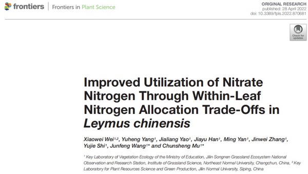 羊草葉片氮的分配有利于提高硝態氮的利用效率