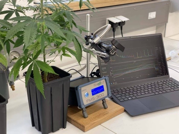 FMS-300脉冲调制式荧光仪可选4种不同的LED配对