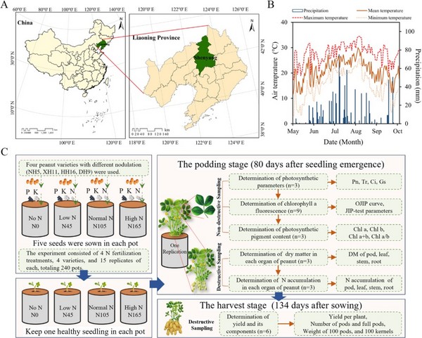 [科研前线│CIRAS-2│Handy PEA]叶绿素荧光动力学（OJIP）表明优化氮肥施用可改善花生光合性能和产量潜力