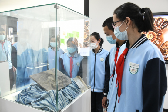 《洪荒印記 古生物化石科普展》在北京市趙登禹學校正式啟幕