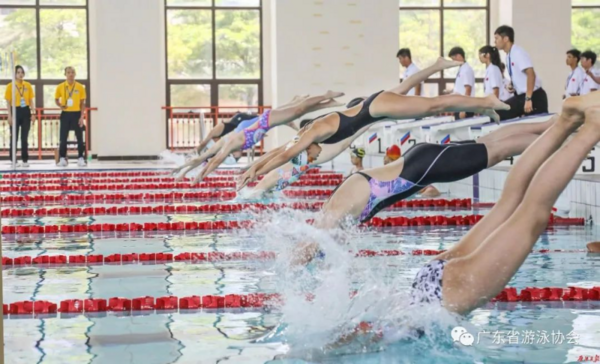 广东省青少年游泳U系列赛总决赛肇庆完赛