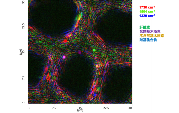 突破传统！高分辨化学成像显微镜，点亮植物真菌单细胞纤维素成像研究新曙光