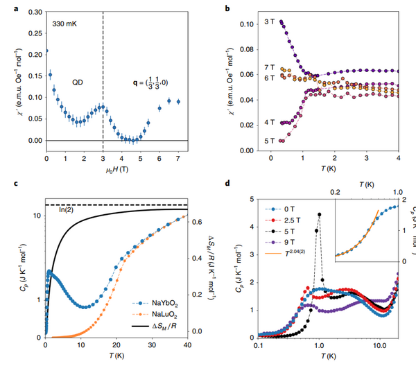 印證理論和實驗測量限，mK溫度下的磁學測量延伸——Quantum Design mK溫度磁學相關測量組件
