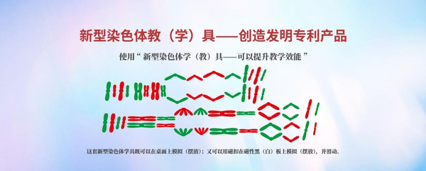 新型染色体学（教）具：国家专利技术 以品质不负众望