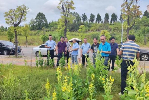景德鎮學院楊波博士助力景德鎮地區農業外來入侵物種普查工作