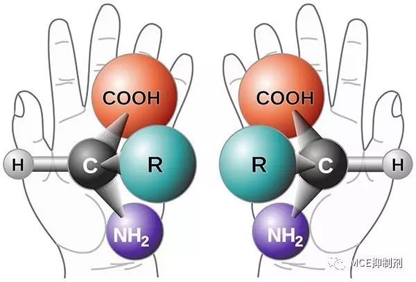 淺談藥物研發中的手性分子 | MedChemExpress