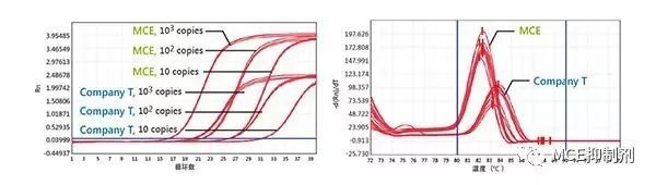 SYBR Green qPCR Master Mix 試劑盒 | MedChemExpress