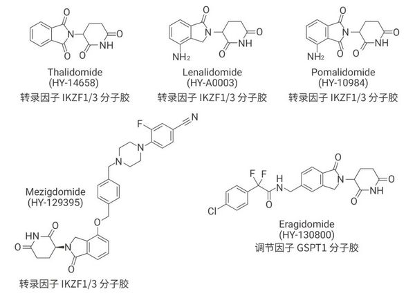 Cell 重磅丨不依赖泛素蛋白酶降解途径的新型 PROTAC - MCE