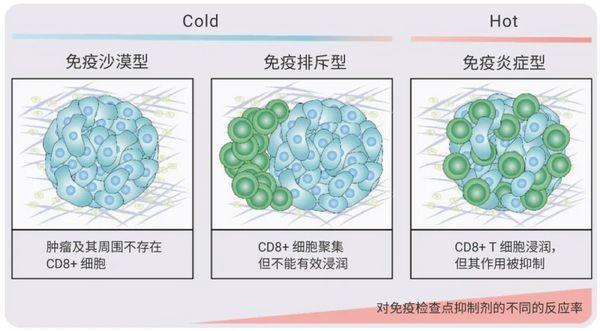 靶向肿瘤微环境 丨“冷”肿瘤如何变“热”- MedChemExpress