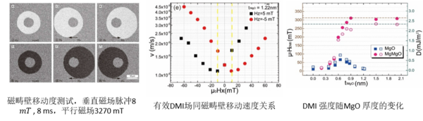Quantum Design中國合作引進 多功能高分辨率磁光克爾顯微成像系統