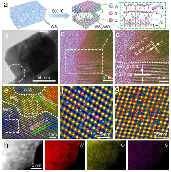 案例分享 | 北化工严乙铭&杨志宇Angew.：WS2-WO3电催化氮还原合成绿色氨