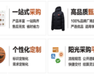 第四届全国智慧学校体育建设与发展论坛体育器材装备质量评价