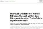 羊草叶片氮的分配有利于提高硝态氮的利用效率