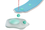 多功能單細胞顯微操作技術在病毒研究中的應用 ——在單病毒粒子--單細胞水平上研究病毒的感染