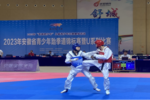 2023年安徽省青少年跆拳道锦标赛在舒城开赛