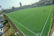 北京大学第一体育馆足球场草坪建设案例