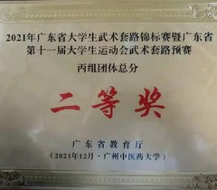 惠州卫生职业技术学院武术队在全省大学生武术锦标赛中勇创佳绩