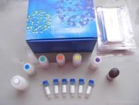 Mouse Interleukin 4,IL-4 ELISA KIT小鼠白介素4(IL-4)ELISA试剂盒