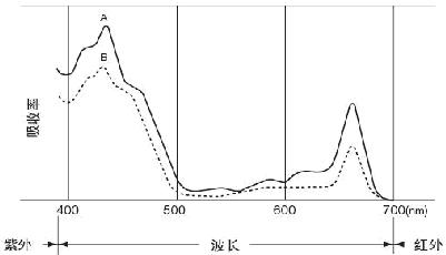 北京叶绿素仪总代/SPAD502便携式叶绿素仪