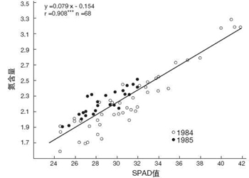 北京叶绿素仪总代/SPAD502便携式叶绿素仪