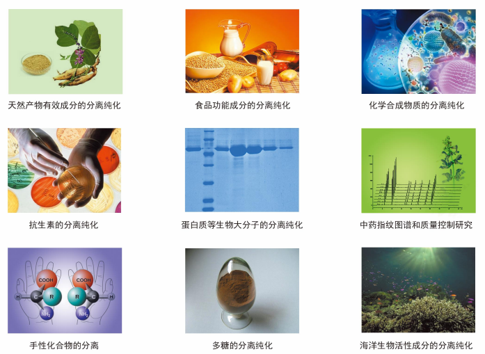 定制分离纯化服务